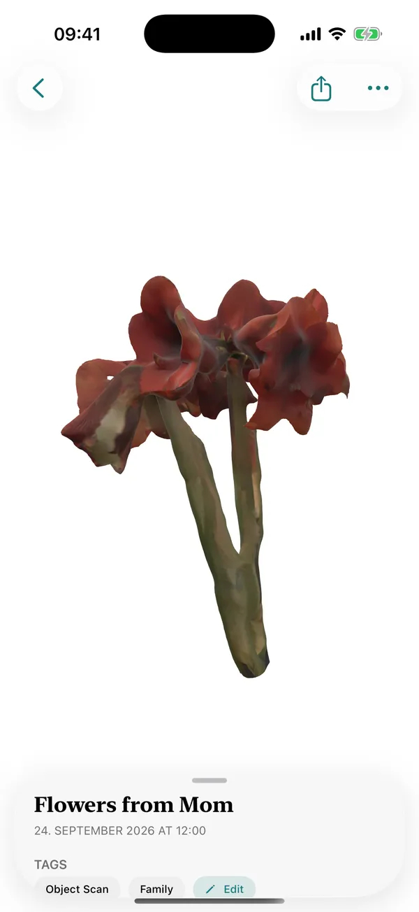 A 3D scan of a bouquet of flowers in the model viewer